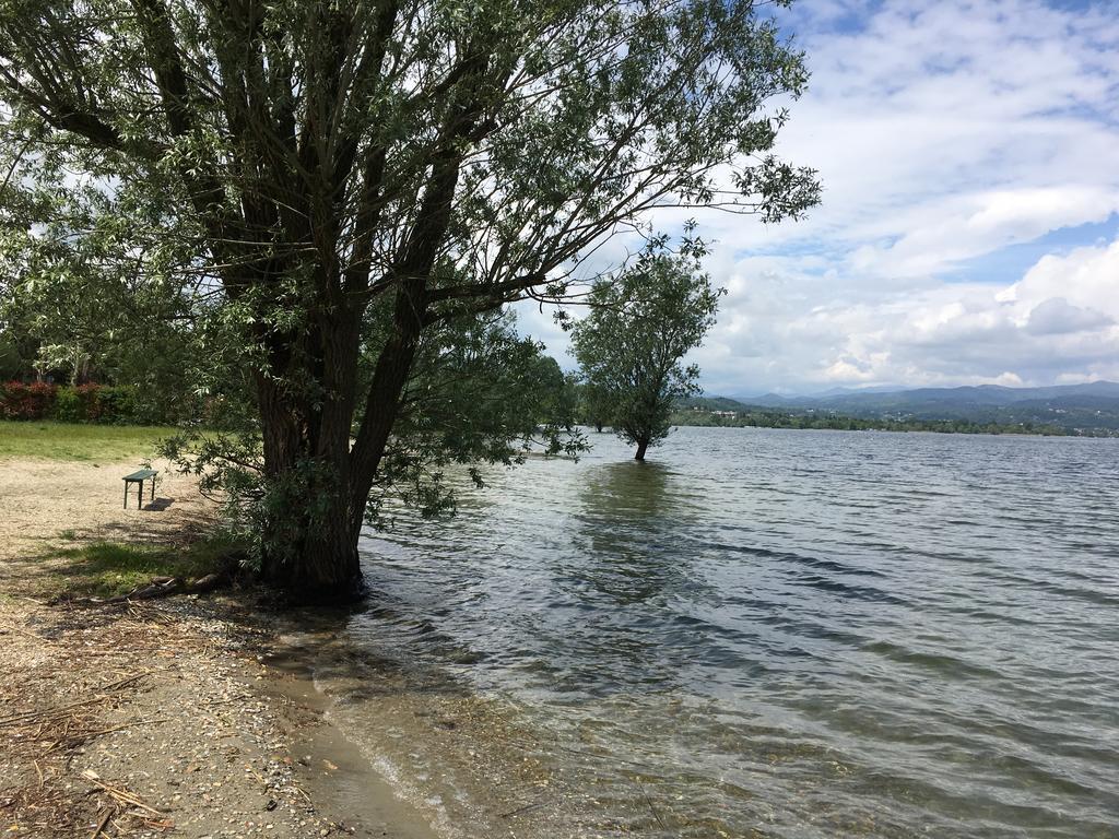 Hotel Lago Maggiore Castelletto sopra Ticino Buitenkant foto